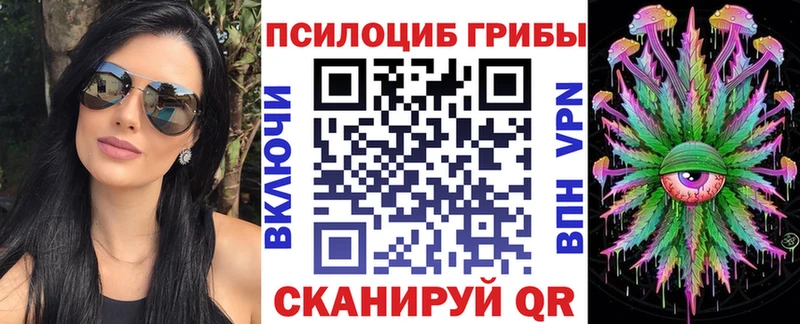 Псилоцибиновые грибы Psilocybine cubensis  Купить  Невинномысск 